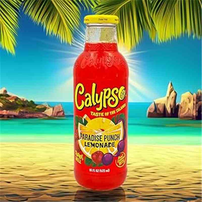 Usa Calypso Pfand - Paradise Punch Karton