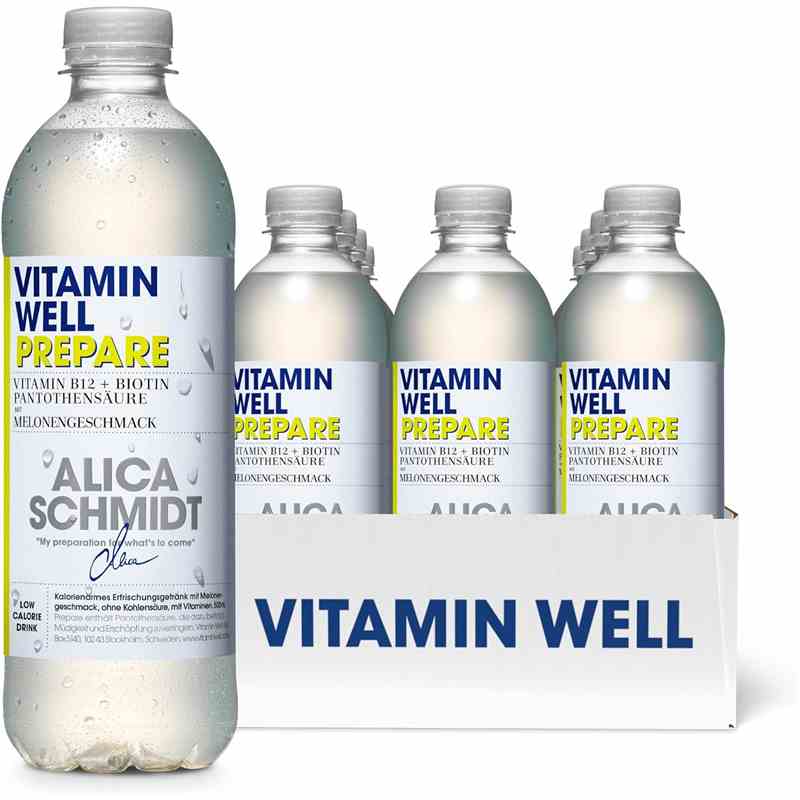 Vitamin Well 500ml - Prepare Karton