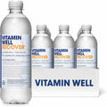 Vitamin Well 500ml - Recover Karton