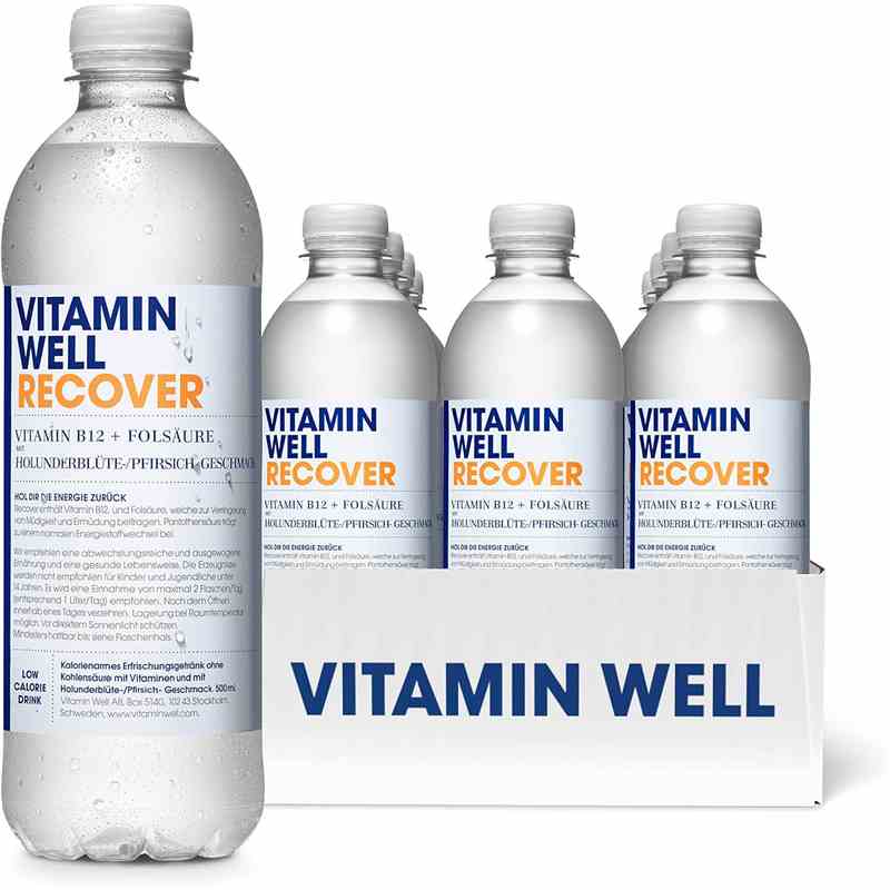 Vitamin Well 500ml - Recover Karton