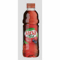 Jana Eistee Waldfrucht Preiselbeere 0,5l Karton